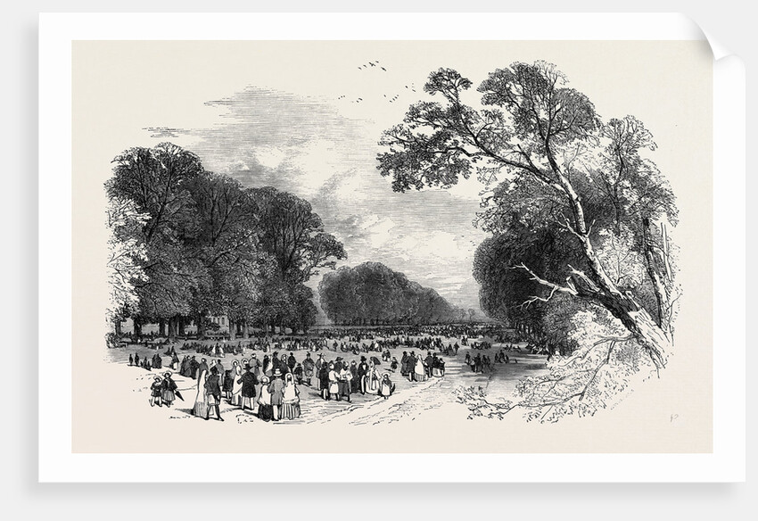 Kensington Gardens, the Broad Walk by Anonymous