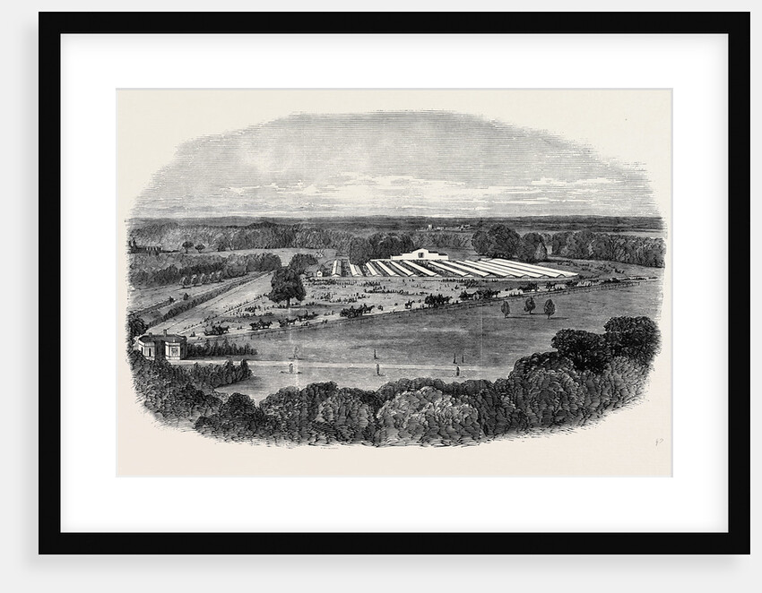 The Agricultural Show, Sketched from the North Terrace of Windsor Castle, the Royal Agricultural Society's Meeting at Windsor by Anonymous