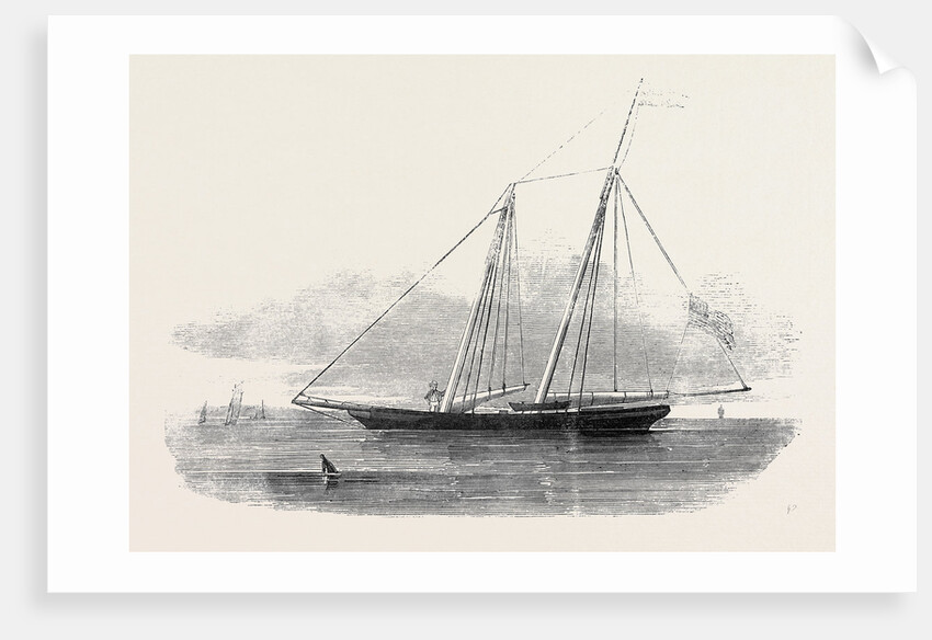 The United States Clipper Yacht America, of the New York Yacht Club by Anonymous