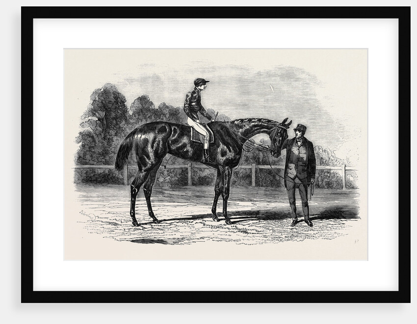 Nancy, Winner of the Goodwood Cup, 1851 by Anonymous