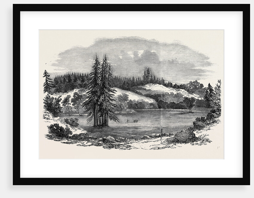 View of the Country Near Russian River, 100 Miles North-West of San Francisco by Anonymous