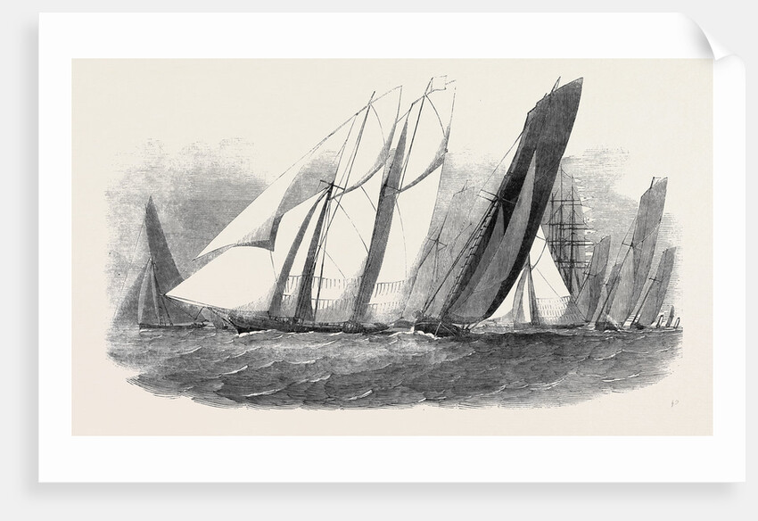 The Royal Victoria Yacht Squadron Regatta, the Fernande and Anaconda Passing Ryde by Anonymous