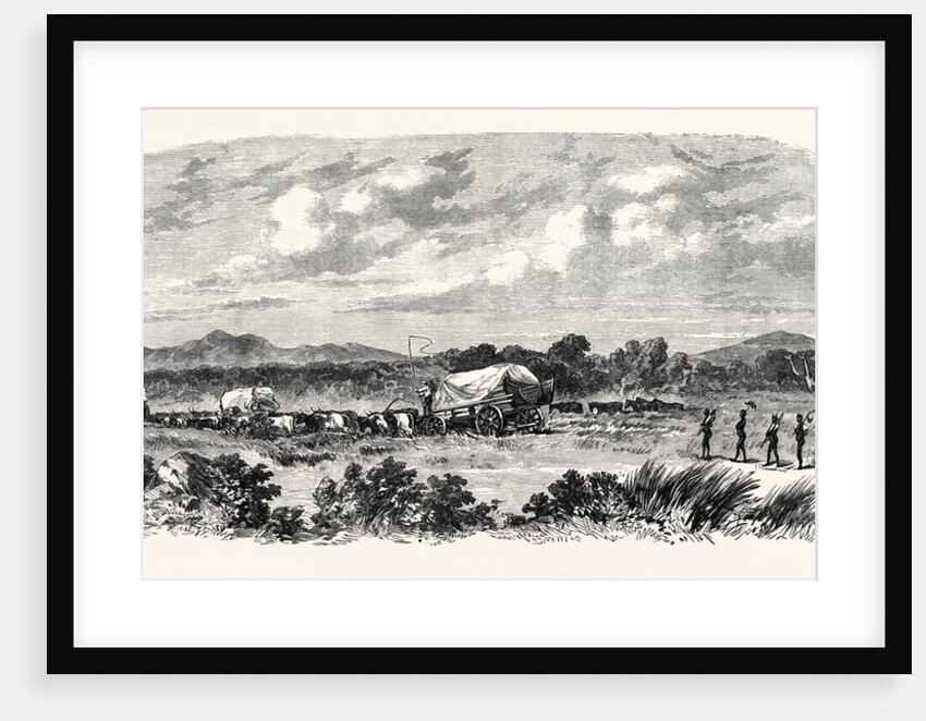 Travelling in Africa: Two Days Without Water 1869 by Anonymous
