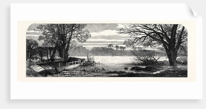 The Hunting Disaster in Yorkshire: The Ferry-Boat on the Ure 1869 by Anonymous
