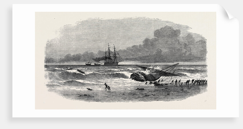 Suppression of the Slave Trade on the East Coast of Africa: Running on Shore of a Slave-Dhow to Escape Capture 1869 by Anonymous