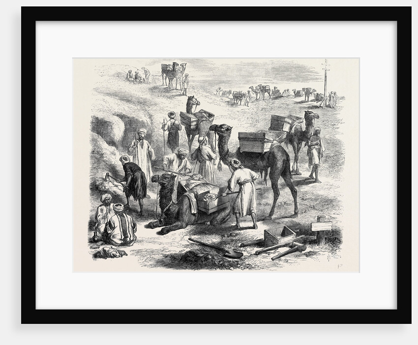 The Isthmus of Suez Maritime Canal: Workmen Loading Dromedaries 1869 by Anonymous