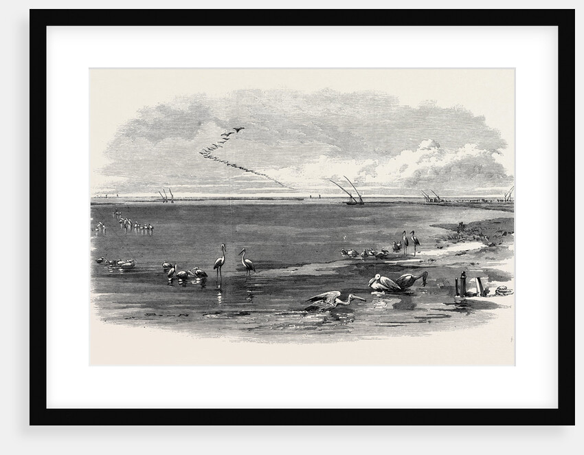 The Isthmus of Suez Maritime Canal: Lake Menzaleh 1869 by Anonymous