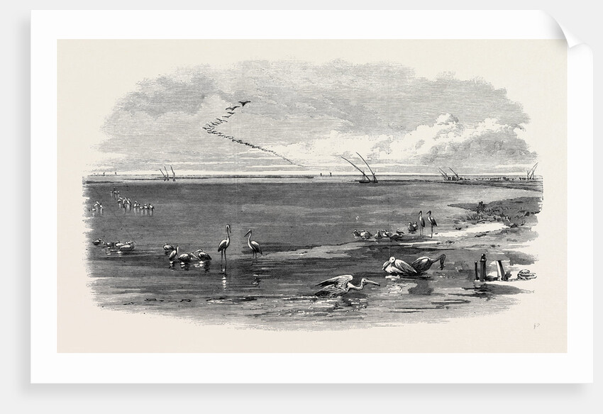 The Isthmus of Suez Maritime Canal: Lake Menzaleh 1869 by Anonymous