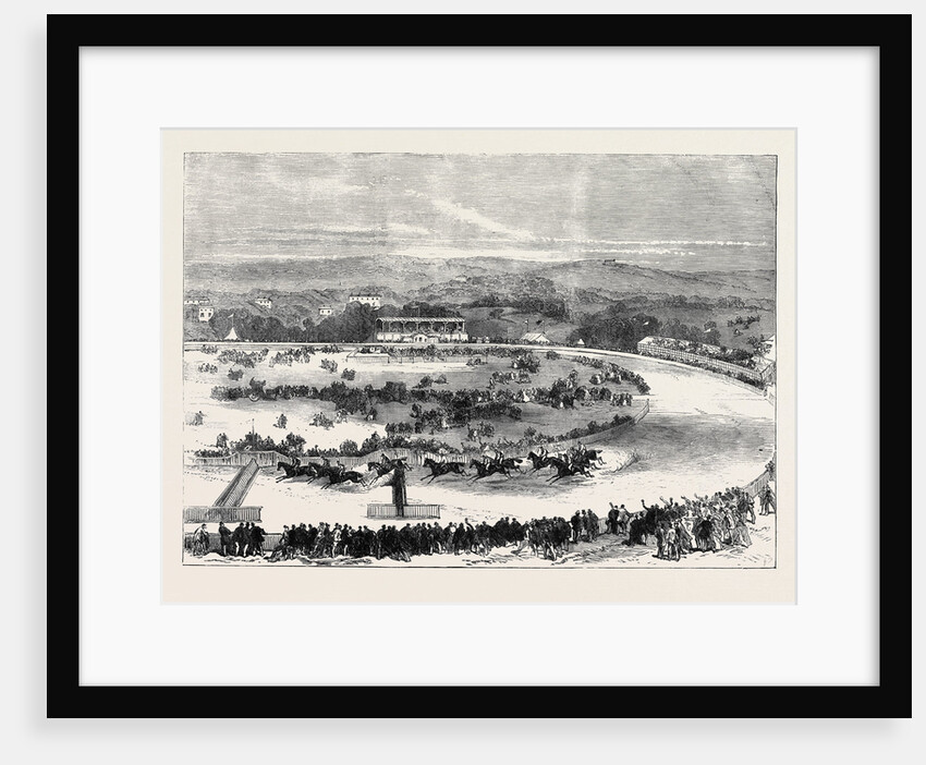 Cork Park Races: The Grand National Steeplechase 1869 by Anonymous