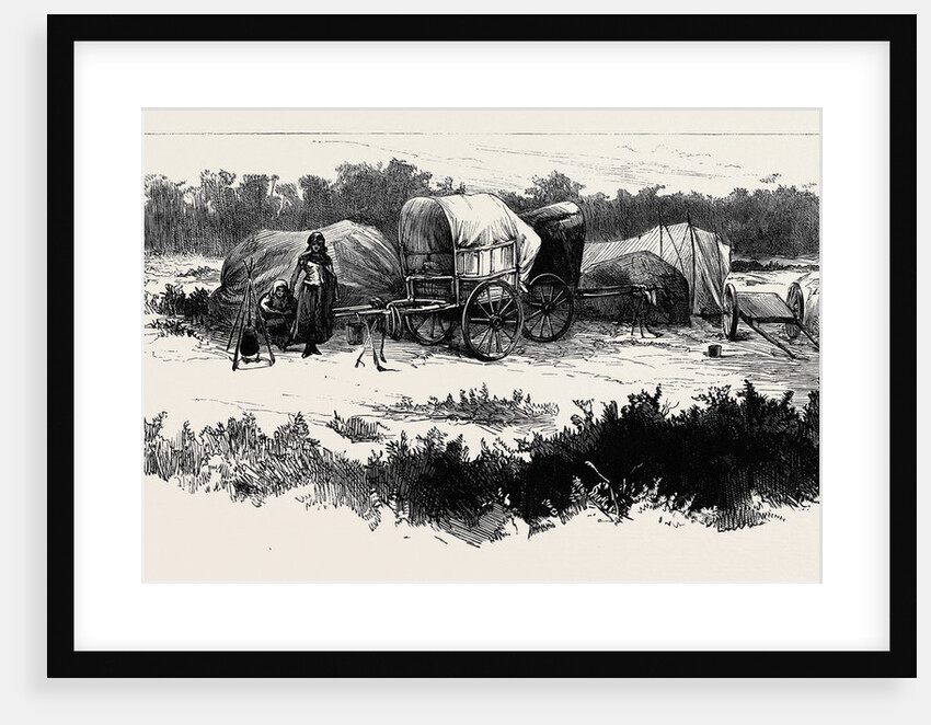 Gipsy Life Round London: Encampment at Mitcham Common 1880 by Anonymous