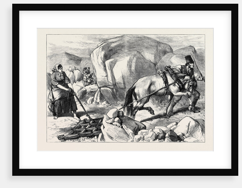 Ireland: Harrowing Under Difficulties Mountain Farm in County Mayo 1880 by Anonymous