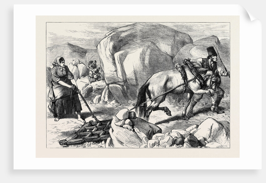 Ireland: Harrowing Under Difficulties Mountain Farm in County Mayo 1880 by Anonymous