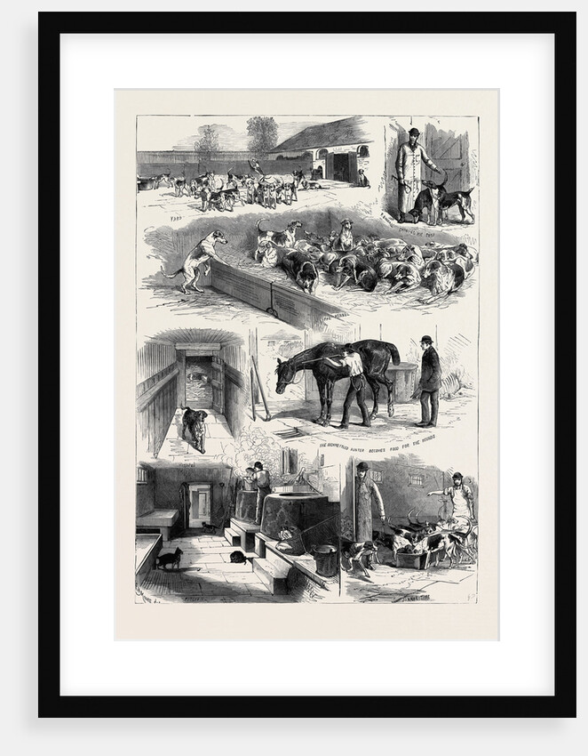 The Royal Buckhounds: The Kennels at Ascot 1880 by Anonymous
