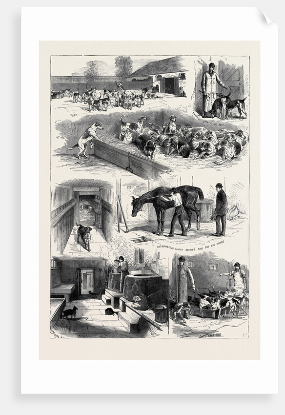 The Royal Buckhounds: The Kennels at Ascot 1880 by Anonymous