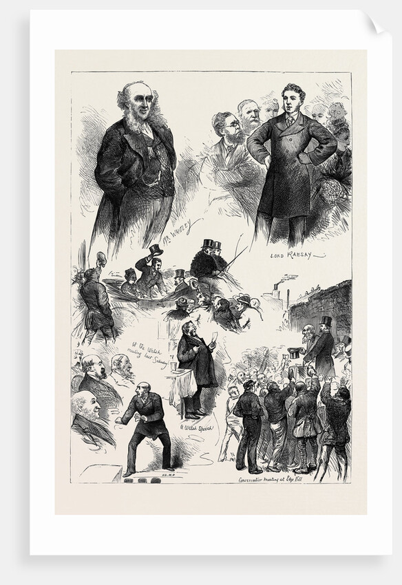 The Liverpool Election 1880 by Anonymous