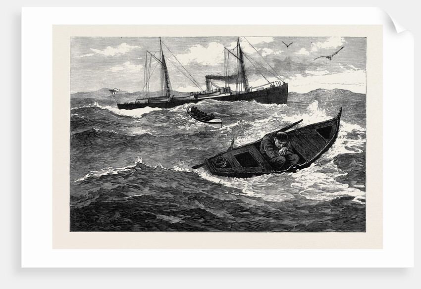 An Incident During the Search for H.M.S. Atalanta 1880 by Anonymous