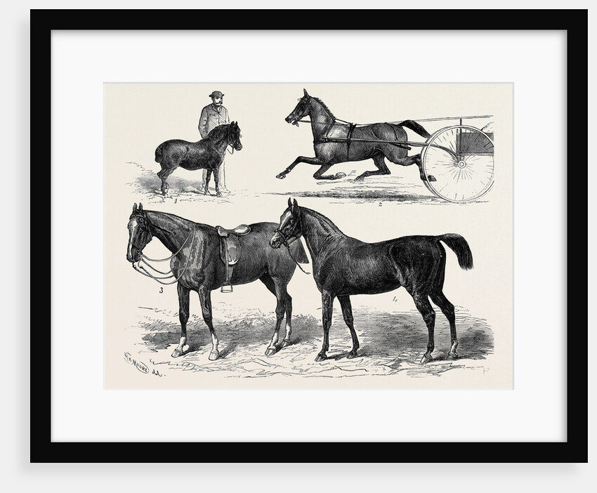 The Horse Show 1880 by Anonymous