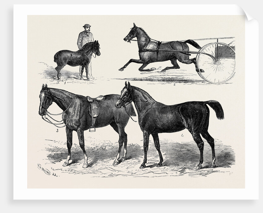 The Horse Show 1880 by Anonymous