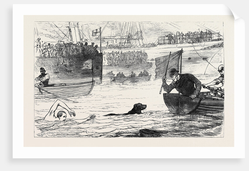 Swimming Match Between a Dog and a Man 1880 by Anonymous