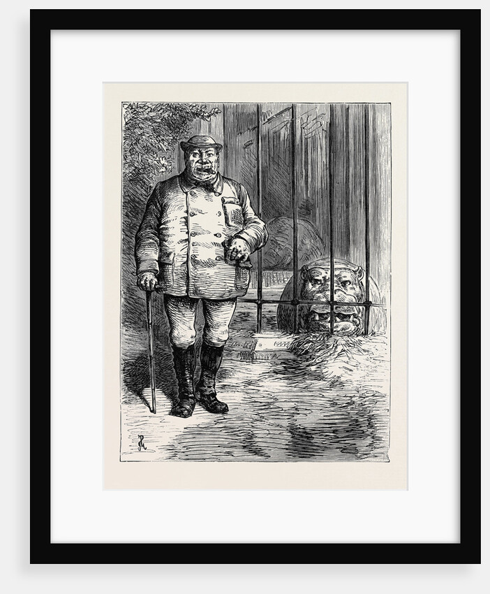 At the Zoological Society's Gardens in London: Pachydermatous or Thick-Skinned Animals 1880 by Anonymous