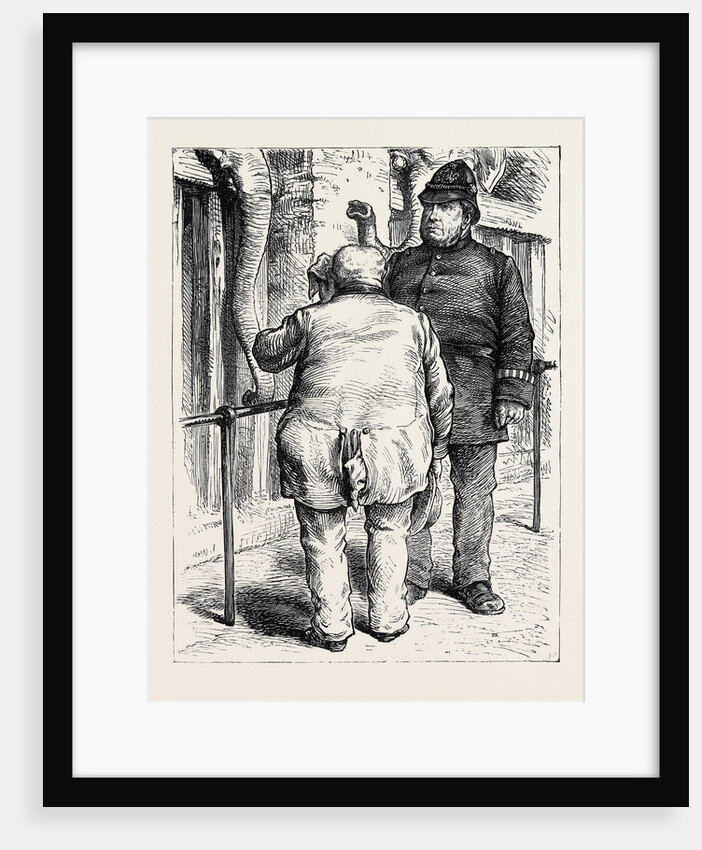 At the Zoological Society's Gardens in London: Pachydermatous or Thick-Skinned Animals 1880 by Anonymous