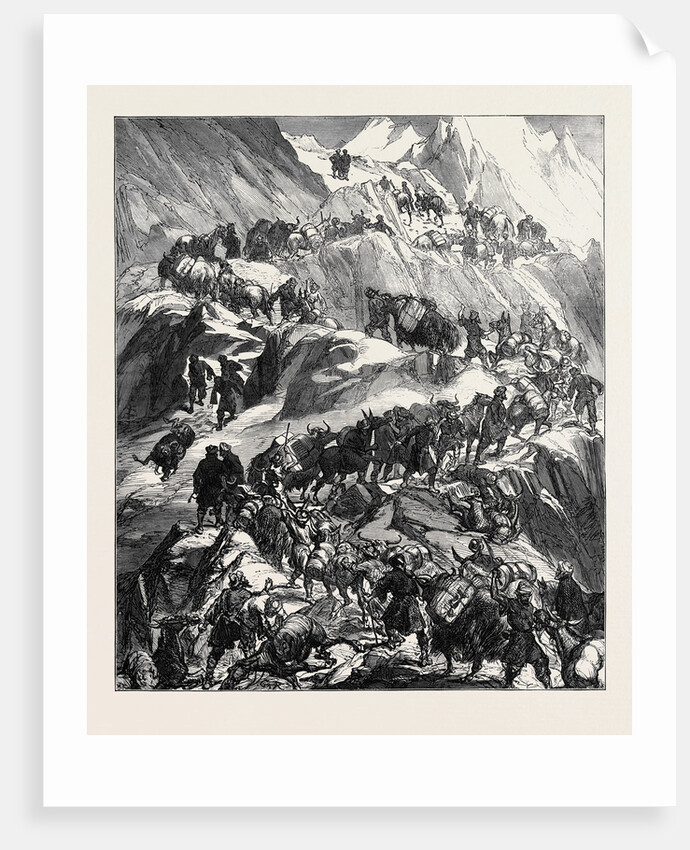 The Yarkund Mission: Mules and Baggage-Train Going Over the Grim (Sanjoo) Pass 1874 by Anonymous