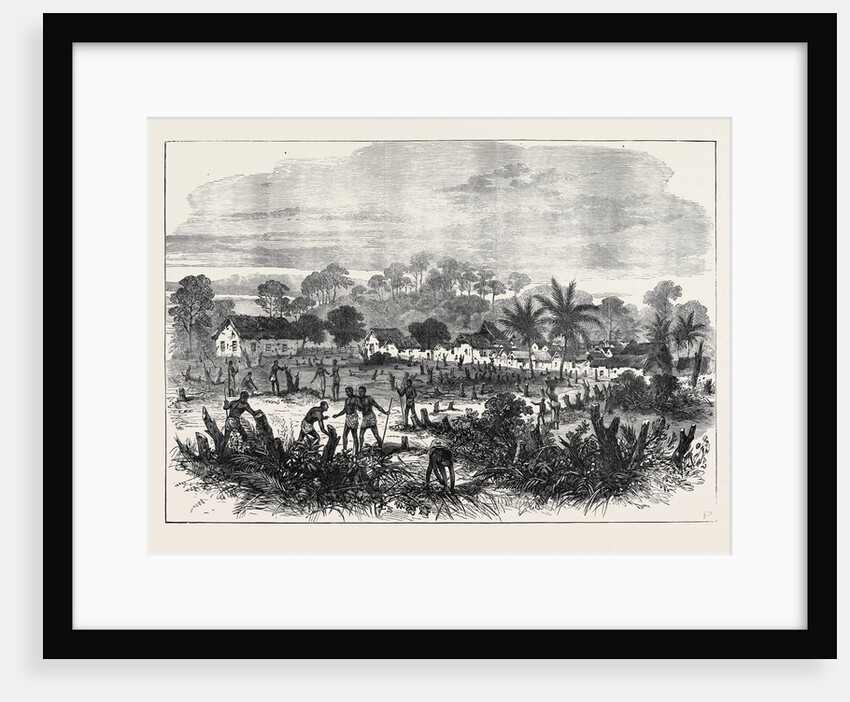 The Ashantee War: The Battle-Field of Abrakrampa 1874 by Anonymous