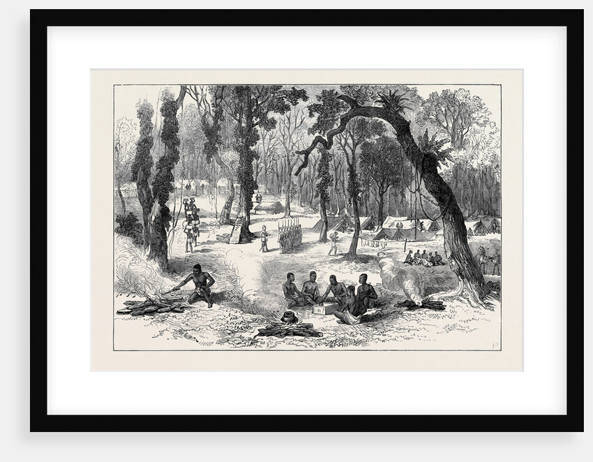 The Ashantee War: Moinsie at the Base of the Adansi Hills 1874 by Anonymous