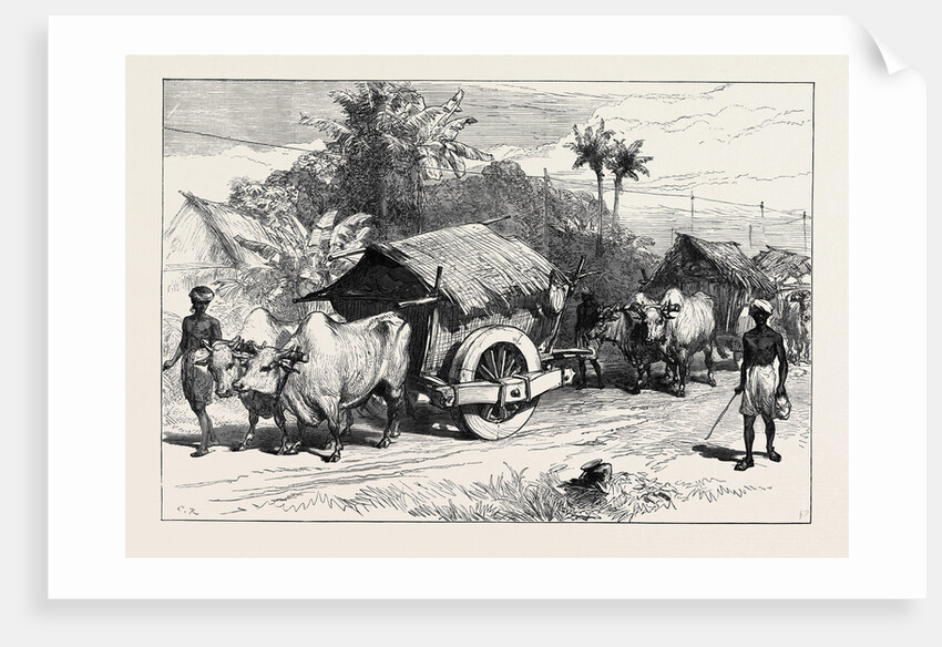 The Famine in Bengal: Bullock Hackeries for Carrying Grain 1874 by Anonymous