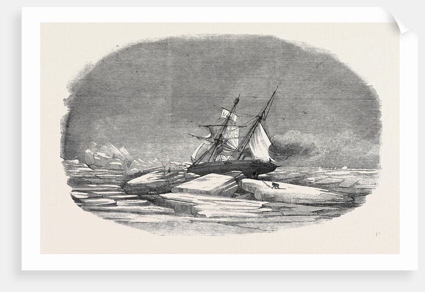 Perilor's Position of the Isabel in the Ice, Off Talbot Inlet; the Search for Sir John Franklin by Anonymous