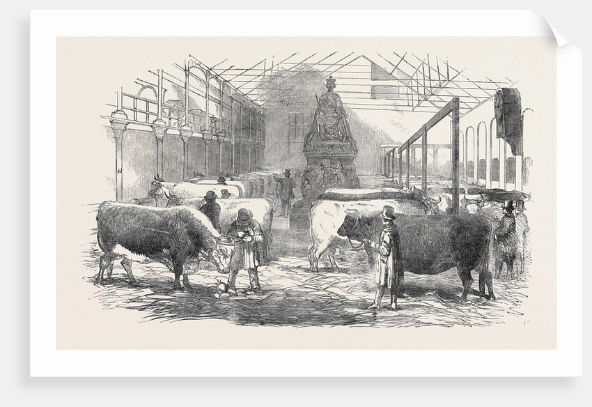 The Smithfield Club Cattle Show-Yard by Anonymous
