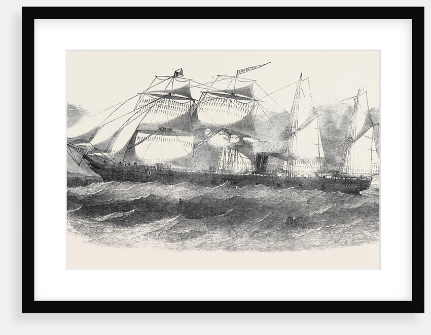 The New Screw Steamship Adelaide by Anonymous