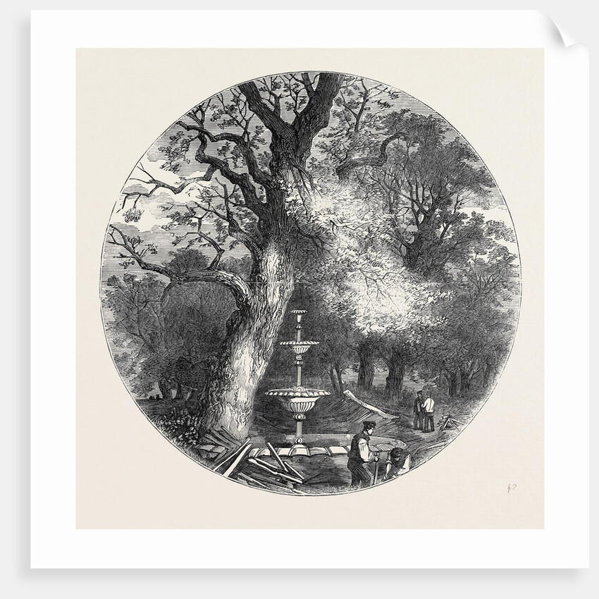The Old Crystal Palace in Hyde Park: Fountain in the North Transept, 1852 by Anonymous