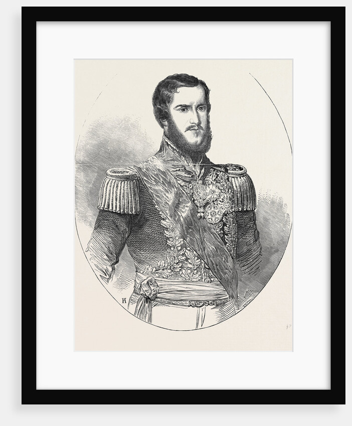 Don Pedro II., Emperor of Brazil by Anonymous