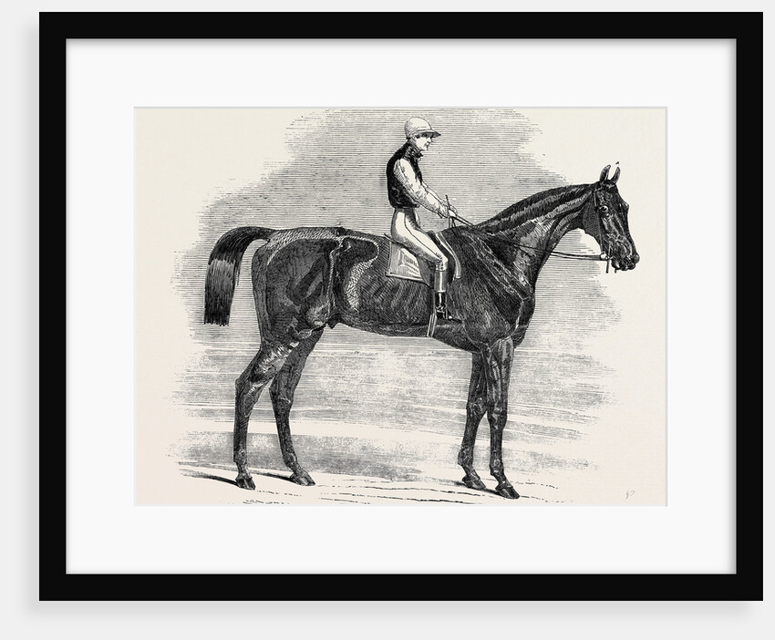 Weathergage, Winner of the Cesarewitch Stakes, at Newmarket, 1852 by Anonymous