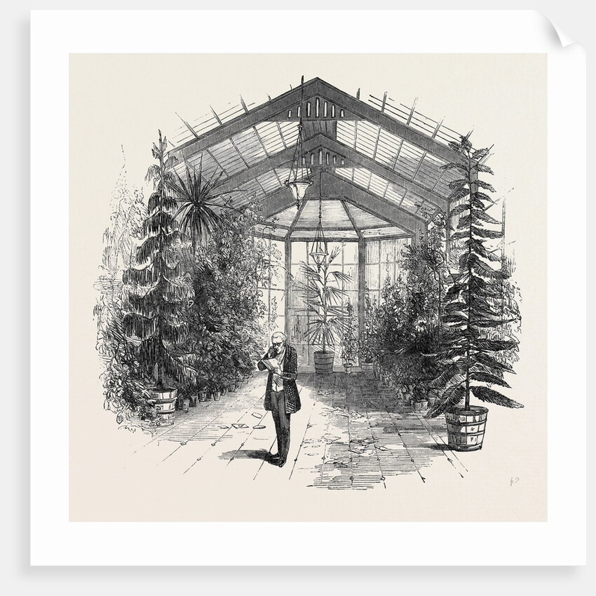 The Conservatory at Stratfieldsay by Anonymous