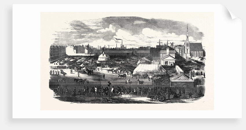 Show of the Manchester and Liverpool Agricultural Society, in the Haymarket, Great Homer Street, Liverpool, 1852 by Anonymous