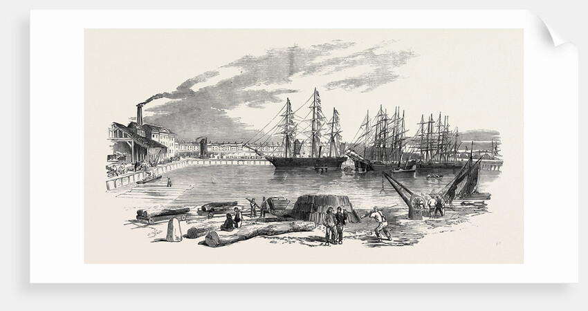 Arrival of the John Bowes Screw Steamer in the Collier Dock of the East and West India Dock Railway, 1852 by Anonymous