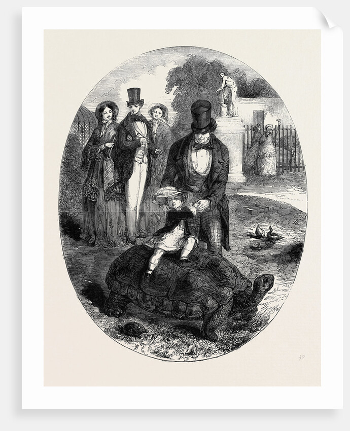 Large Tortoise at the Surrey Zoological Gardens by Anonymous