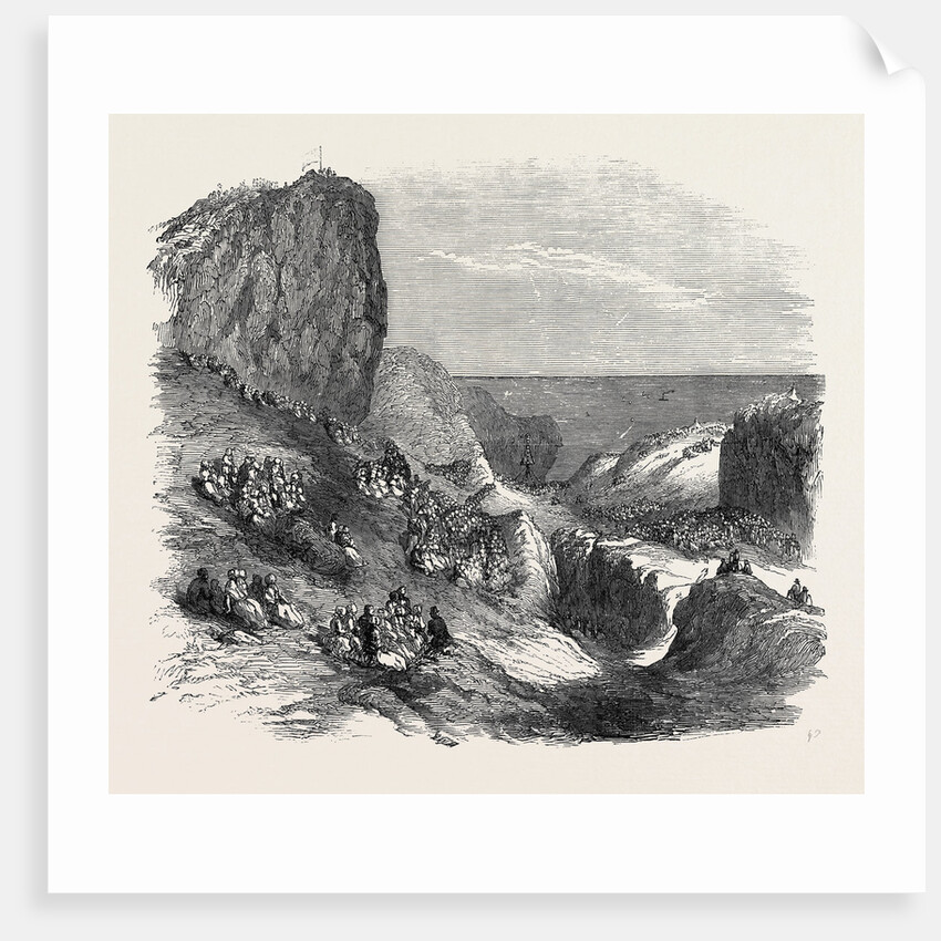 Musical Fete Champetre at Watcombe, Near Torquay, 1852 by Anonymous