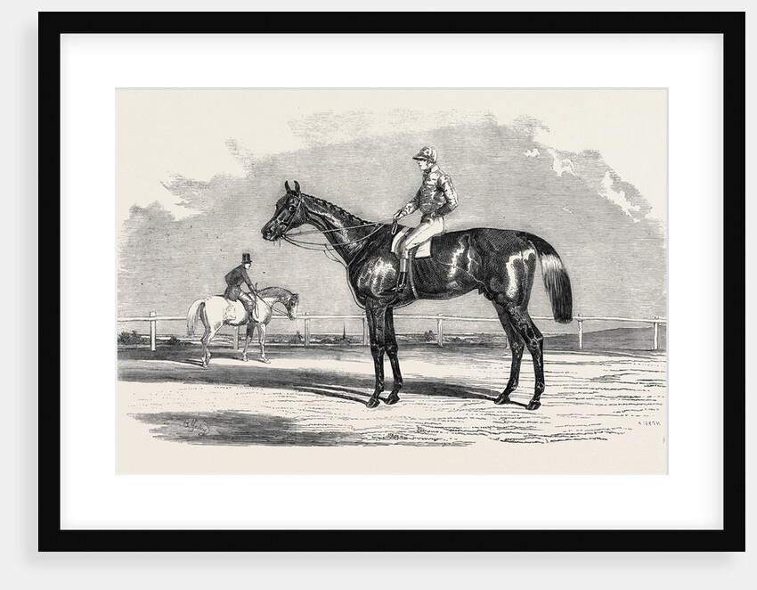Kingston, the Winner of the Goodwood Cup, 1852 by Anonymous