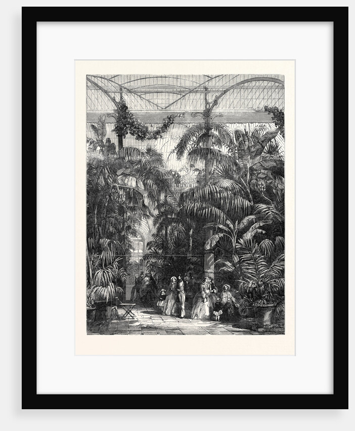 Centre of the Great Palm-House at the Royal Botanic Gardens of Kew by Anonymous