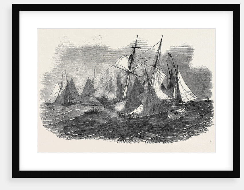 Wreck of the Renown, at Sheerness, 1852 by Anonymous