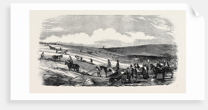 The Royal Agricultural Society of England, Meeting at Lewes: Trial of Implements, at the Wallands, 1852 by Anonymous