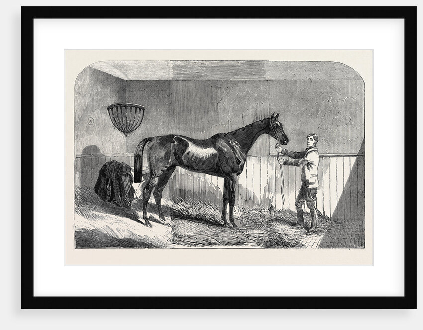 Lord John Scott's the Reiver, Winner of the July Stakes, at Newmarket, 1852 by Anonymous