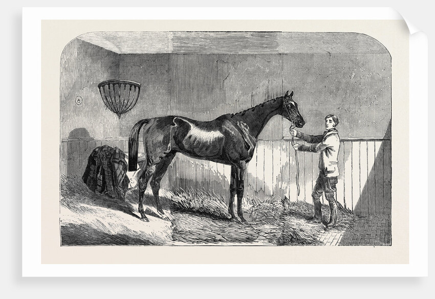 Lord John Scott's the Reiver, Winner of the July Stakes, at Newmarket, 1852 by Anonymous