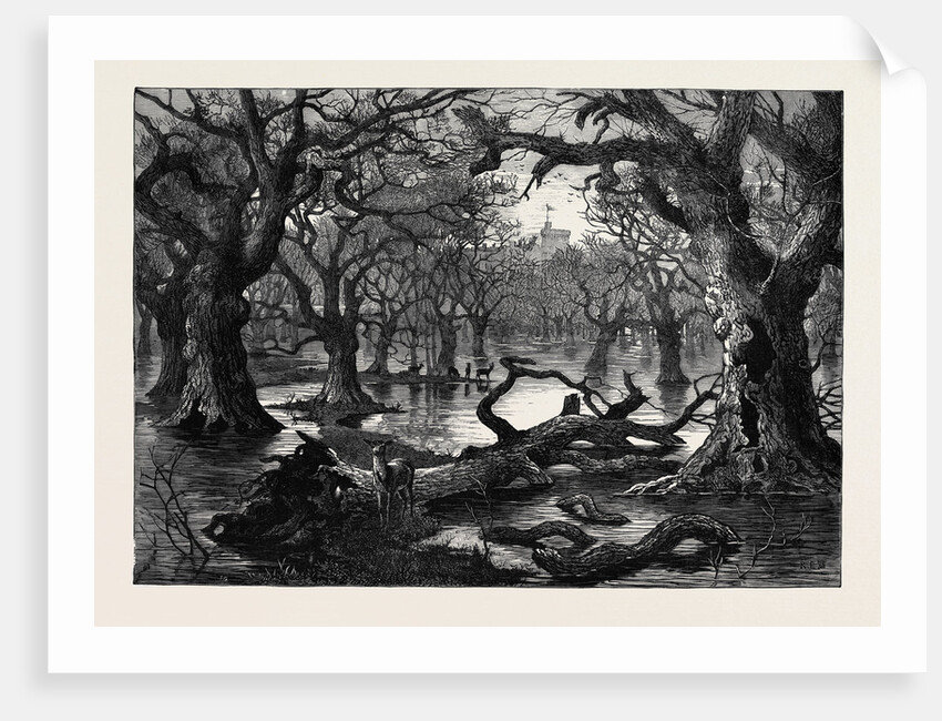The Thames Floods: Scene in the Home Park Windsor 1879 by Anonymous