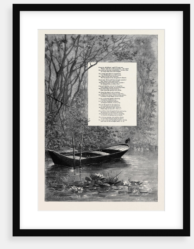 The Kingfisher's Haunt by Anonymous