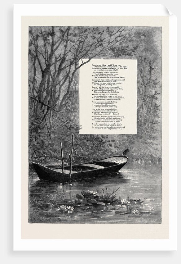 The Kingfisher's Haunt by Anonymous