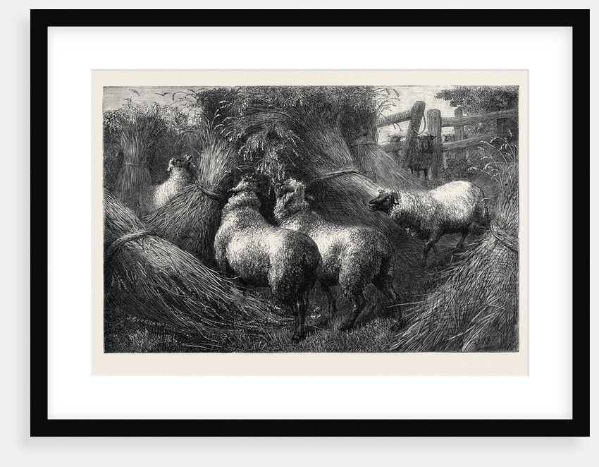 Forbidden Fruit, from the Late Exhibition of the Royal Academy 1867 by Anonymous